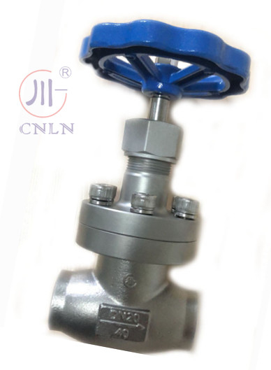 CNLN/Arman DJ61F-40P SS304/316 Cryogenic Globe Valve Short Stem-Type A ((DN10-100mm) cho hệ thống LNG/LOX/LN2