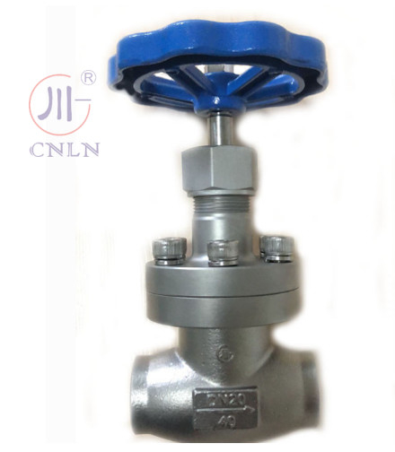 CNLN/Arman DJ61F-40P SS304/316 Cryogenic Globe Valve Short Stem-Type A ((DN10-100mm) cho hệ thống LNG/LOX/LN2