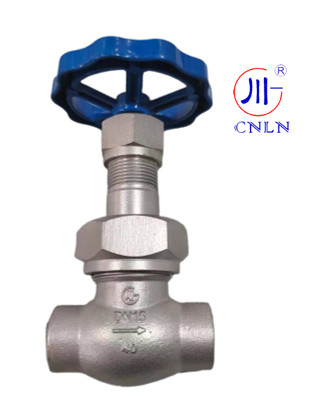 CNLN/Arman DJ61F-40P SS304/316 Cryogenic Globe Valve Short Stem-Type C ((DN10-50mm) cho hệ thống LNG/LOX/LN2
