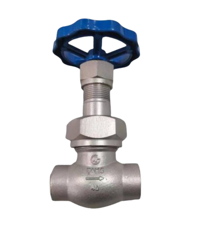 Lựa chọn gốc LN2 DN25 Cryogenic Socket Weld Globe Valve DJ61F-40P cho LNG/LOX/LN2/LAR/LCO2