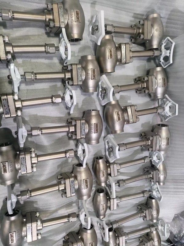 DN25 Cryogenic Globe Valve Stainless Steel 304/316 với PTFE Seal và CF8/CF3 Valve Body cho -196°C đến +80°C Ứng dụng