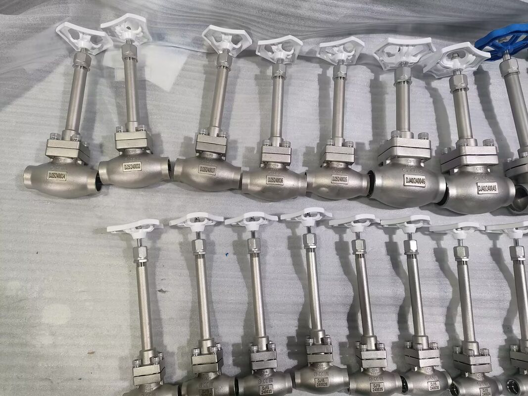 DN32 Cryogenic Globe Valve Stainless Steel 304/316 với áp suất tối đa 5,0Mpa và nhiệt độ từ -196 °C đến +80 °C